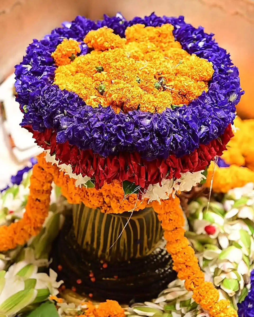 भक्ति में डूबी काशी! आस्था का महासंगम, हर-हर महादेव से गूंजा श्री काशी विश्वनाथ धाम