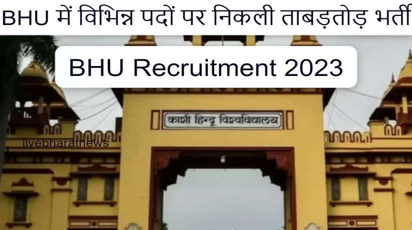 BHU Recruitment 2023: Rapid recruitment on various posts including professor, apply from here...