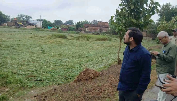 अर्नव चक्रवात का चंदौली में कहर, खेतों में बिछी धान की तैयार फसल
