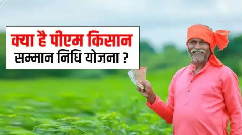 PM Kisan Samman Nidhi: कहीं इस वजह से तो नहीं रुक गया है आपका पैसा...