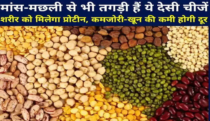 मांस-मछली से भी तगड़ी हैं ये देसी चीजें, शरीर को मिलेगा प्रोटीन, कमजोरी-खून की कमी होगी दूर