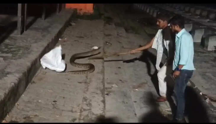 Varanasi News: वाराणसी में देर रात मिला 10 फिट लंबा अजगर, क्षेत्रीय लोगों में मचा हड़कंप
