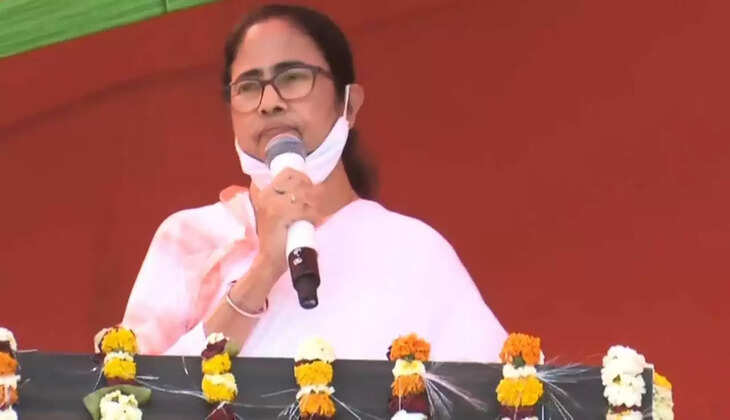 mamta