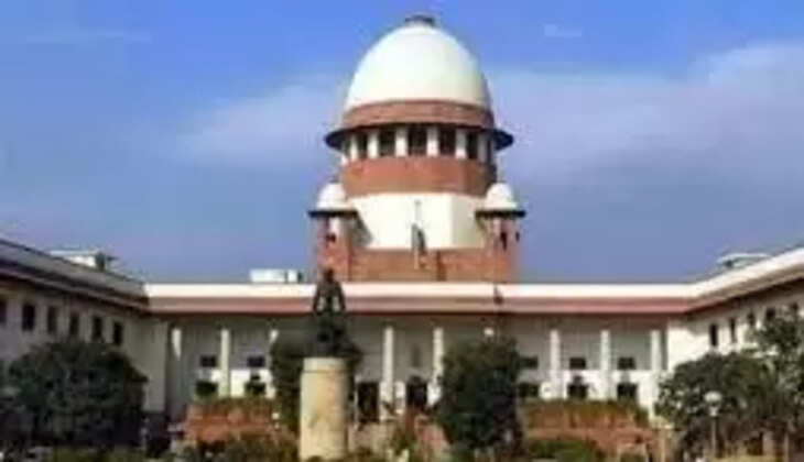 Laldhang-Chillarkhal road issue: Rajaji Tiger Reserve से होकर नहीं बनेगी पक्की सड़क, Supreme Court ने नहीं दी इजाजत