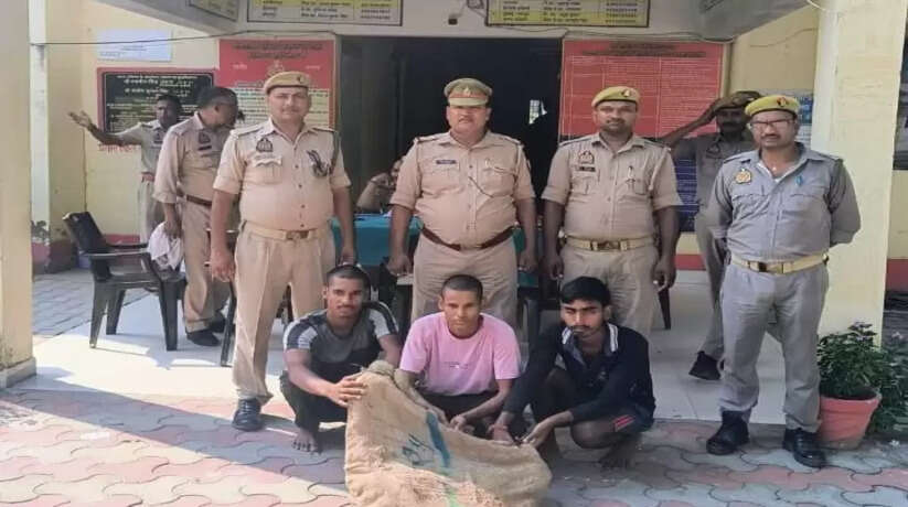 चन्दौली पुलिस ने चोरी की वारदात का किया सफल खुलासा, तीन चोर गिरफ्तार