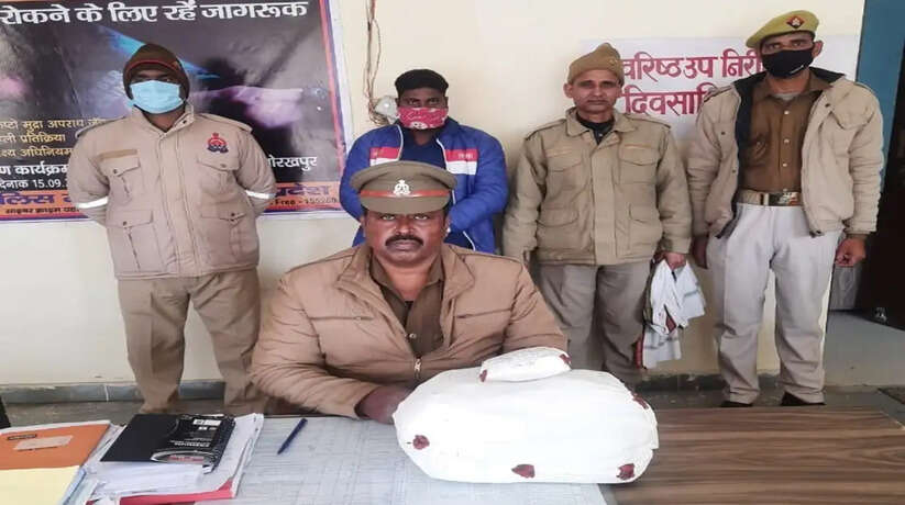 गोरखपुर में 03 किलो 200 ग्राम अवैध गांजा के साथ अभियुक्त गिरफ्तार
