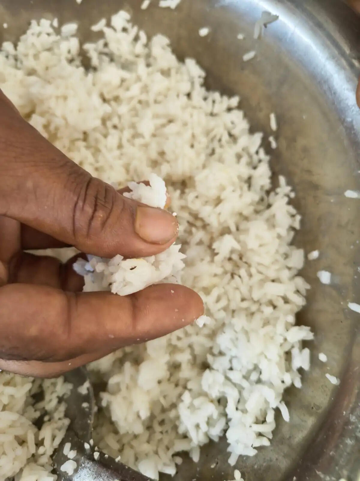 Keywords (English): BHU Students Protest, Banaras Hindu University, BHU Hostel Food, Insect Found in Food, Hostel Mess Controversy, Food Quality Issues, Student Protest, Varanasi News, BHU News, Hostel Management, University Administration