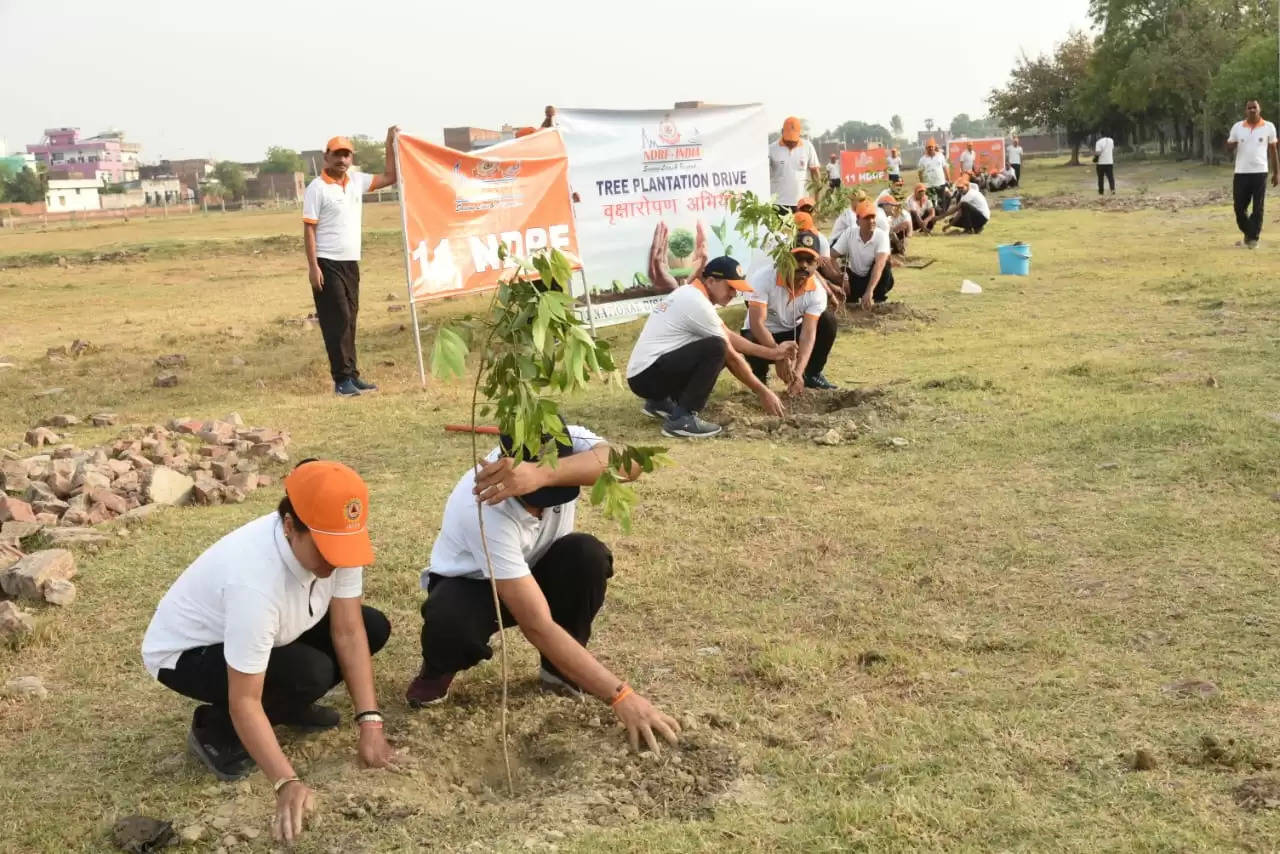 Varanasi News: एनडीआरएफ ने चलाया वृहद वृक्षारोपण अभियान 