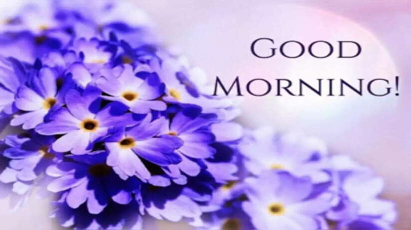 WhatsApp पर Good Morning का Message