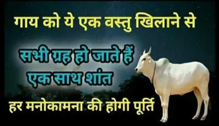 Astro Tips: गाय का ये उपाय चमकाएगा आपका भाग्य, नहीं आएगा कोई दुख, होगी मनोकामना पूरी