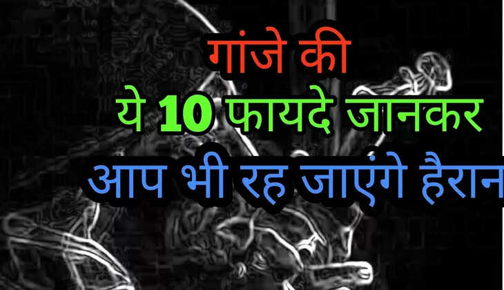 गाँजा पीने के&nbsp;सौ फायदे! आप भी जानकर हो जाएंगे हैरान!&nbsp;&nbsp;