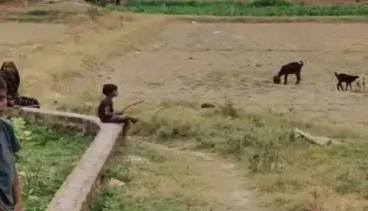 चंदौली के धानापुर कस्बे में बुद्ध विहार जाने वाले जर्जर मार्ग को लेकर ग्रामीणों ने प्रदर्शन किया। लोगों ने जिलाधिकारी से सड़क निर्माण कराने और आवागमन की समस्या दूर करने की मांग की।