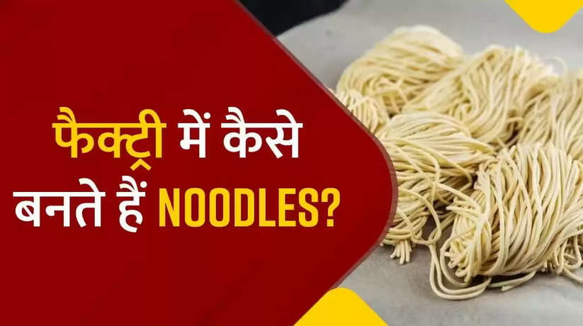 Noodles: देखिए कैसे बनता है नूडल्स, अगर ये वीडियो देख लिया तो कभी नहीं खाएंगे नूडल्स
