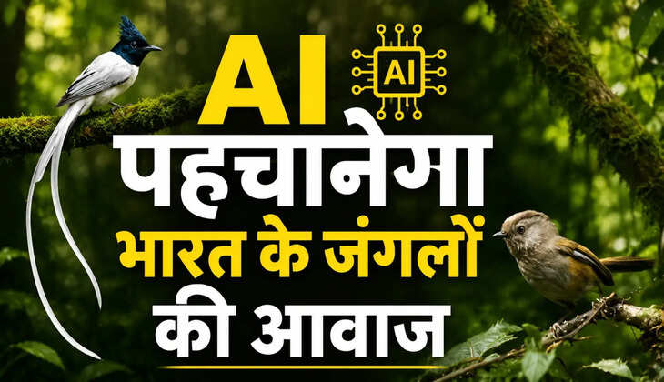 518 प्रजातियां | 25 राज्य और केंद्र शासित प्रदेश | 5,815 मिनट की रिकॉर्डिंग | 600+ योगदानकर्ता