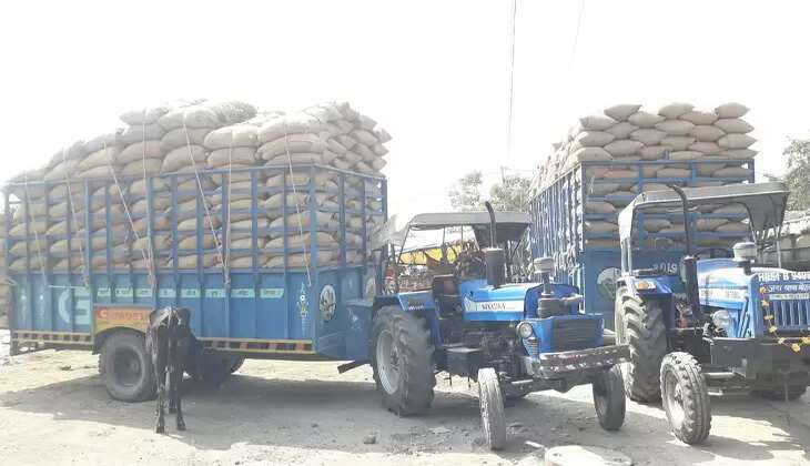 Chandauli samachar: चंदौली में चोरों ने ट्रैक्टर पर लदे धान को&nbsp;लेकर हुए फरार