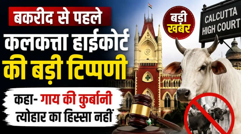 Kolkata News: बकरीद से पहले कलकत्ता हाईकोर्ट की बड़ी टिप्पणी, कहा- गाय की कुर्बानी इस्लाम में अनिवार्य नहीं