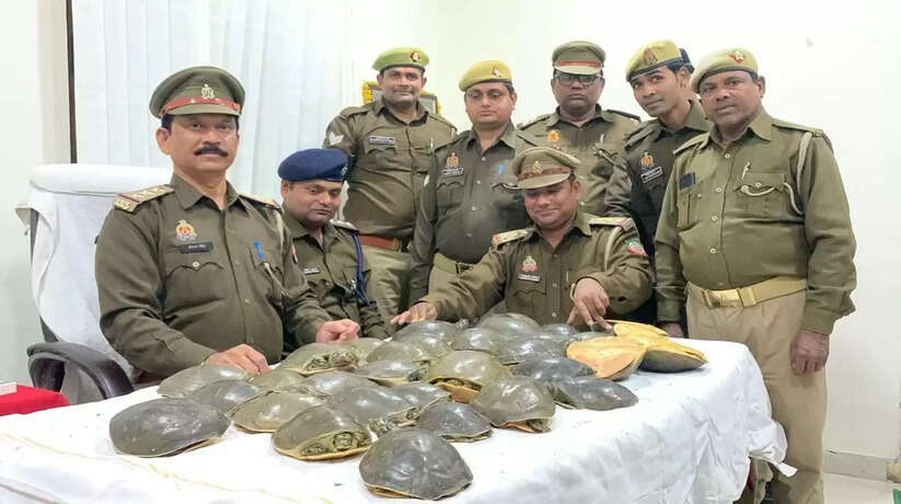 वाराणसी कैंट स्टेशन पर 35 कछुआ बरामद, लावारिस बैग में मिला लाखों का कछुआ