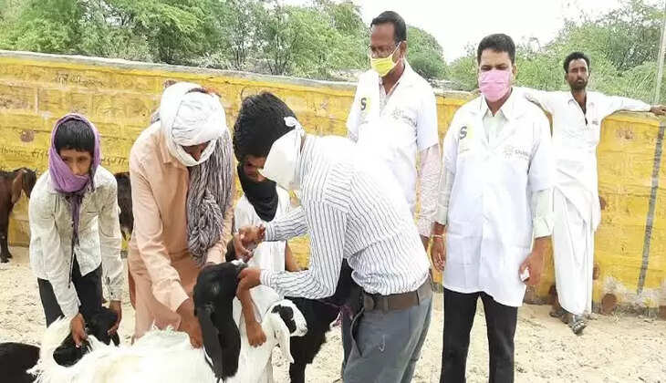 विकास खण्ड सदर के ग्राम सभा कॉटा जगदीशपुर में 19 फरवरी को पशुओं की निशुल्क जाँच शिविर का होगा आयोजन।