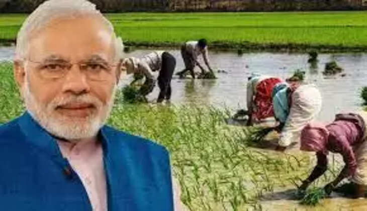केंद्र सरकार ने किसानों को राहत देते हुए खाद पर बढ़ाई सब्सिडी