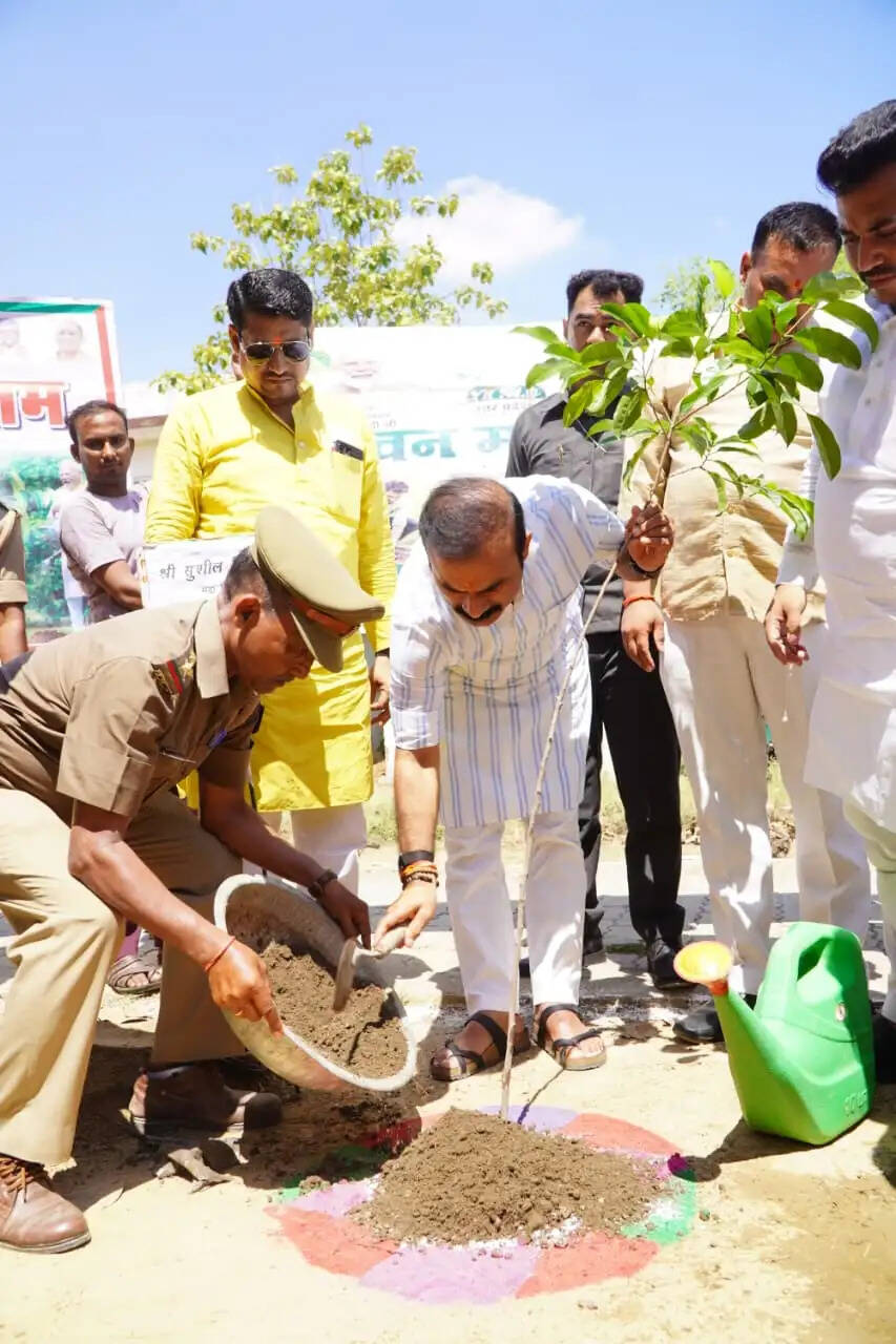 Sushil Singh, Chandauli News, Ek Ped Maa Ke Naam, Tree Plantation Campaign, Saidraja MLA, Sushil Singh Plantation, Environment Conservation, Chandauli Plantation Drive, Narendra Modi Campaign, Nauvatpur School, Uttar Pradesh News, Live Bharat News