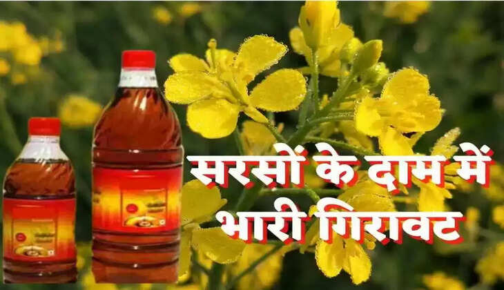 खाने के तेलों में आई भारी गिरावट...जानिए आज का ताजा रेट!&nbsp;