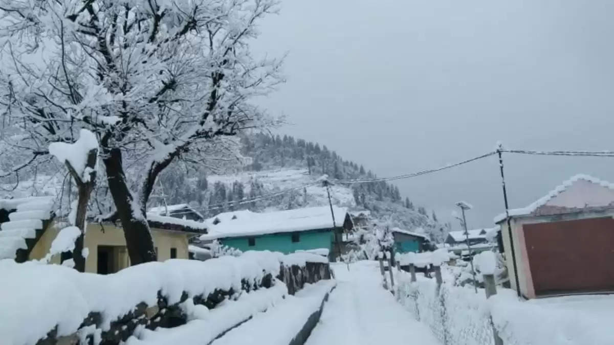 Snowfall Update: जम्मू-कश्मीर में जमकर हो रही बर्फबारी, रात तक और तेज होगा स्‍नोफॉल