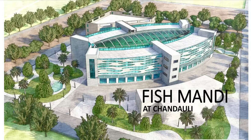 Chandauli News: चंदौली में देश का पहला स्टेट ऑफ़ होलसेल फिश मार्केट का निर्माण जल्द होगा शुरू