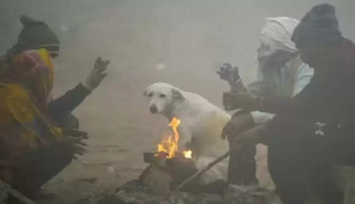 M&nbsp;P&nbsp;Weather Update:&nbsp;प्रदेश में शीतलहर के साथ पाला पड़ने की चेतावनी, मौसम विभाग ने जारी किया अलर्ट