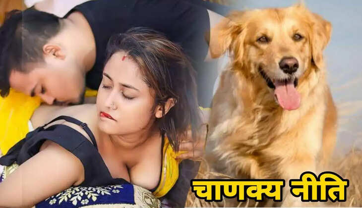 चाणक्य नीति: इस तरह महिलाएं होती हैं संतुष्ट, कुत्तों से सीखें ये पांच गुण