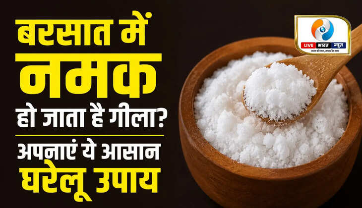 बरसात में नमक हो जाता है गीला? डिब्बे में डाल दें ये एक चीज, नहीं पड़ेगी गांठ