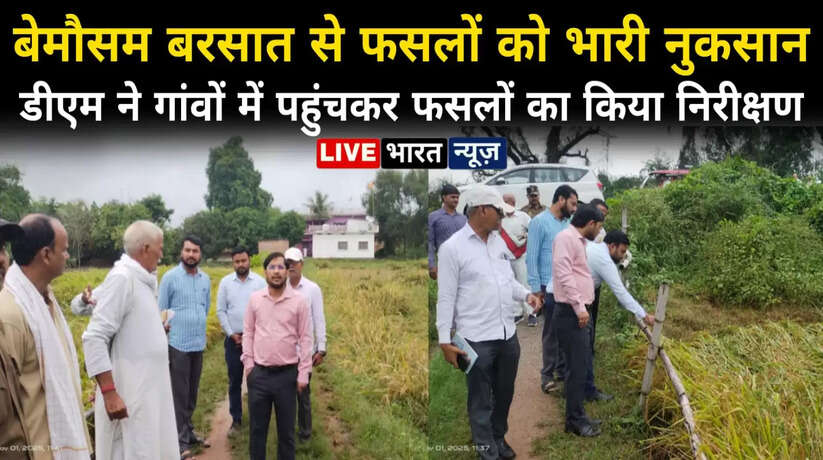 बेमौसम बरसात से फसलों को भारी नुकसान, जिलाधिकारी गांवों में पहुंचकर फसलों का किया निरीक्षण
