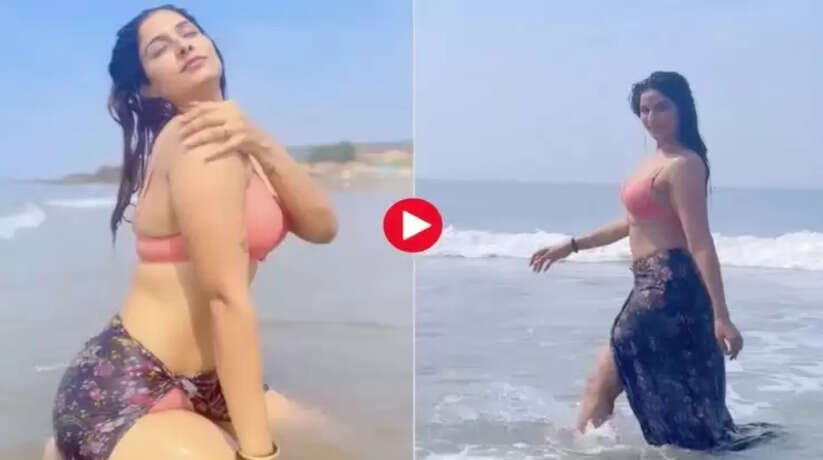 Poonam Dubey Hot Video