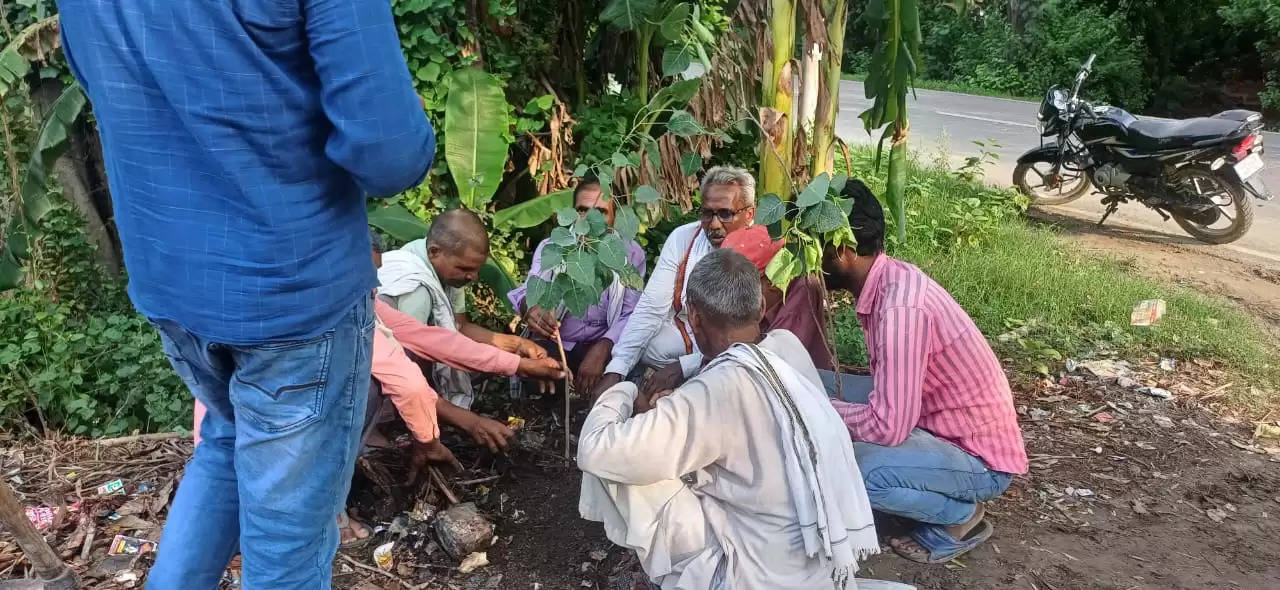 SP leader planted saplings in Ayodhya under PDA fortnightSP leader planted saplings in Ayodhya under PDA fortnight