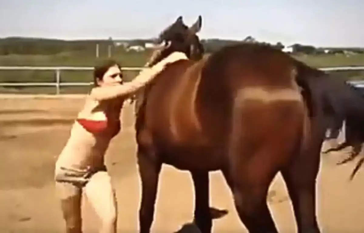 काफी कोशिशों के बाद भी घोड़े पर नहीं चढ़ पाई महिला, जानवर ने खुद ही कर दिया यह काम, Video Viral...