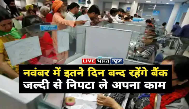 Bank Holiday 2022 : नवंबर में इतने दिन बन्द रहेंगे बैंक, जल्दी से निपटा ले अपना काम, यहां देखें छुट्टियों की लिस्ट