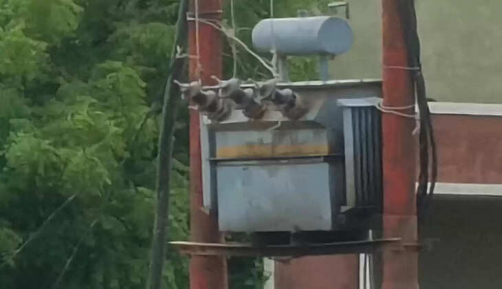 मिर्जापुर:&nbsp;सरकार के आदेश का नही है अधिकारियों पर कोई असर&nbsp;