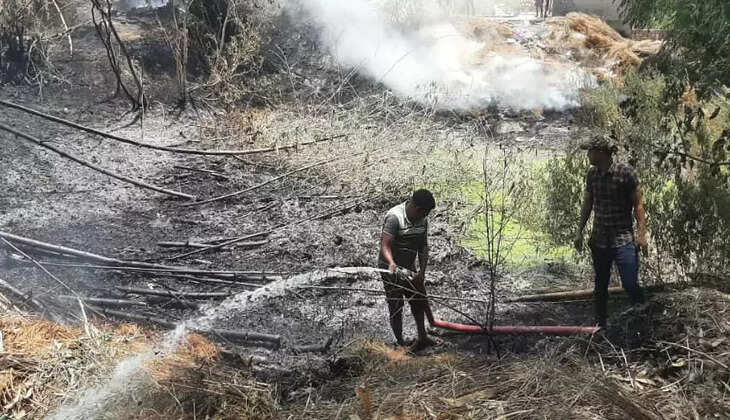 Raebareli News: रायबरेली में आग लगने से कई बकरियां सहित सारा सामान जलकर राख