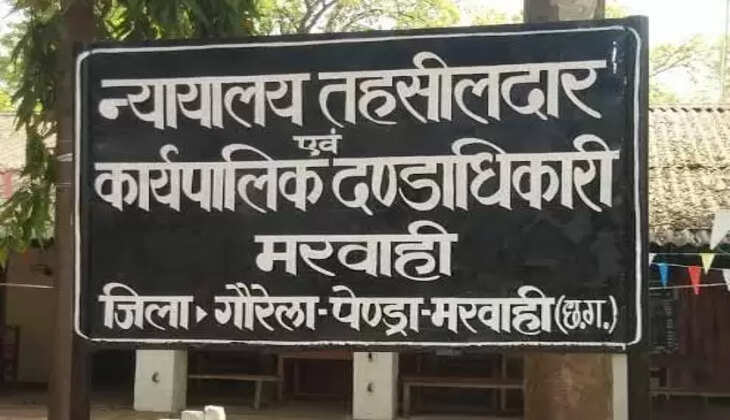 chhattisgarh news,madhya pradesh news,latest news,chhattisgarh,today news,breaking news,chhattisgarh latest news,chhattisgarh news today,chhattisgarh news in hindi,chhattisgarhi news,chhattisgarh hindi news,chhattisgarh today news,chhattisgarh corona news,chhattisgarh weather news,chhattisgarh latest hindi news,chhattisgarh corona update news,chhattisgarh anganwadi workers strike,chhattisgarh corona update,chhattisgarh korba news