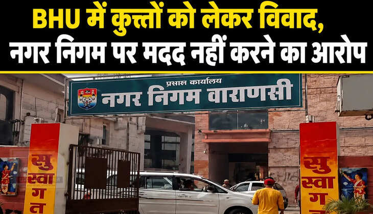 BHU में आवारा कुत्तों को लेकर बढ़ा विवाद, नगर निगम पर मदद नहीं करने का आरोप