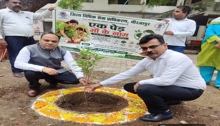 मीरजापुर जनपद न्यायालय परिषद में 'वृक्षारोपण महायज्ञ-2026' के तहत वृहद वृक्षारोपण कार्यक्रम आयोजित किया गया। अपर जनपद न्यायाधीश संतोष कुमार गौतम सहित न्यायिक अधिकारियों, वन विभाग और न्यायालय कर्मचारियों ने पौधरोपण कर पर्यावरण संरक्षण का संदेश दिया।
