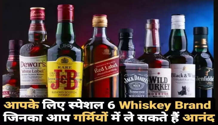 Summer Special Beer: आपके लिए स्पेशल 6 व्हिस्की ब्रांड, जिनका आप गर्मियों में ले सकते हैं आनंद...