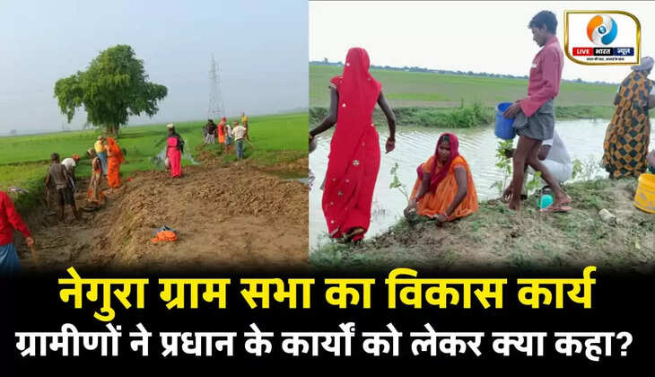 नेगुरा ग्राम सभा में विकास को लेकर अहम बैठक, ग्रामीणों ने सराहा प्रधान का कार्य