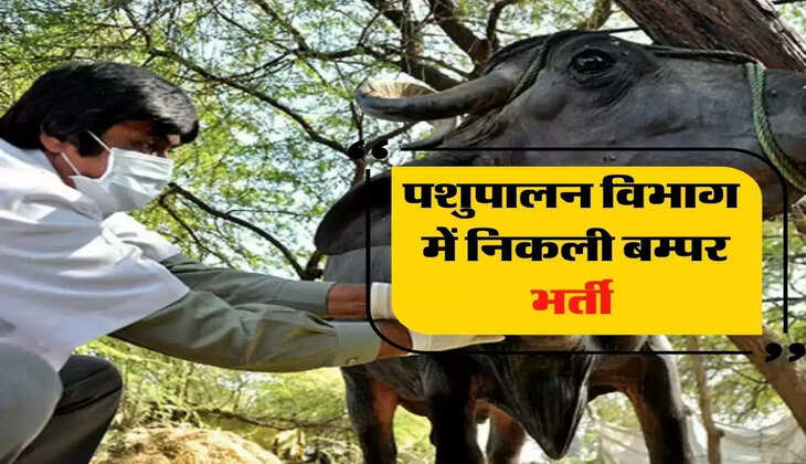 पशु चिकित्सा विभाग में निकली बम्पर भर्ती लाखों में हैं सैलरी, जल्द करें आवेदन...