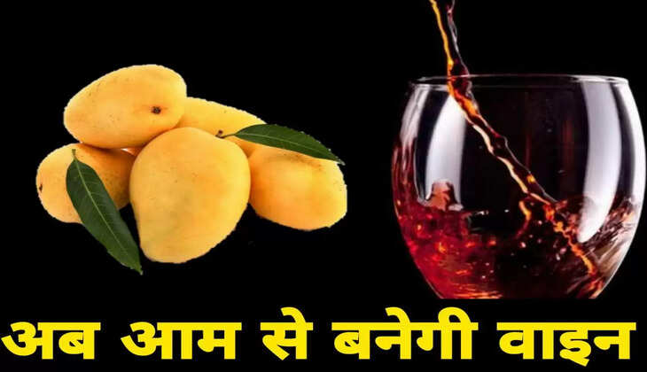 wine mango 