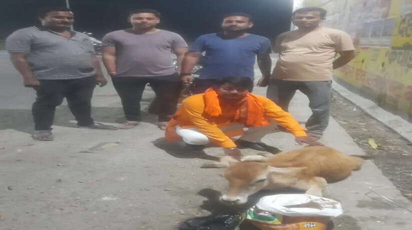 Chandauli News: सैयदराजा में वाहन की टक्कर से गोवंश घायल, तीन पैर फ्रैक्चर