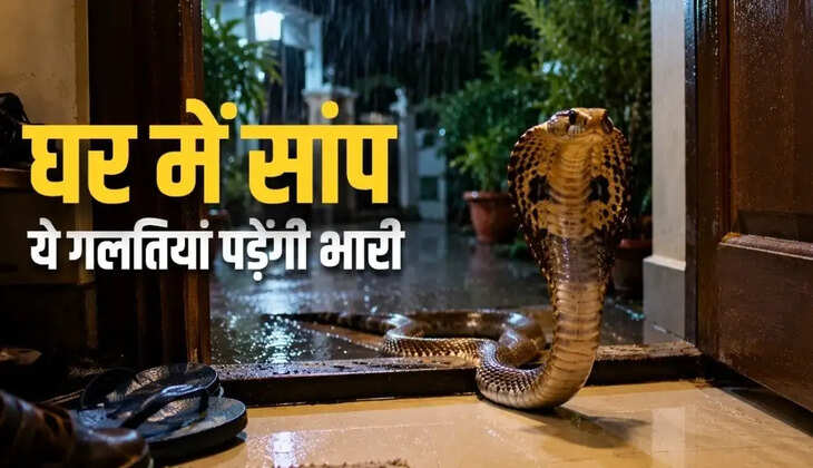 घर में नाग या नागिन दिखने पर घबराएं नहीं, सुरक्षित रहने के लिए अपनाएं ये तरीके