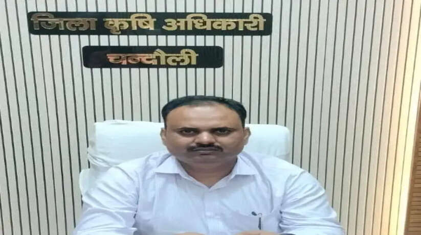 Chandauli News: कद्दू वर्गीय सब्जियों में &lsquo;गुमोसिस&rsquo; रोग का प्रकोप, जिला कृषि अधिकारी ने किसानों को जारी की एडवाइजरी
