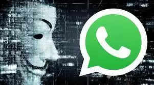 whats app 