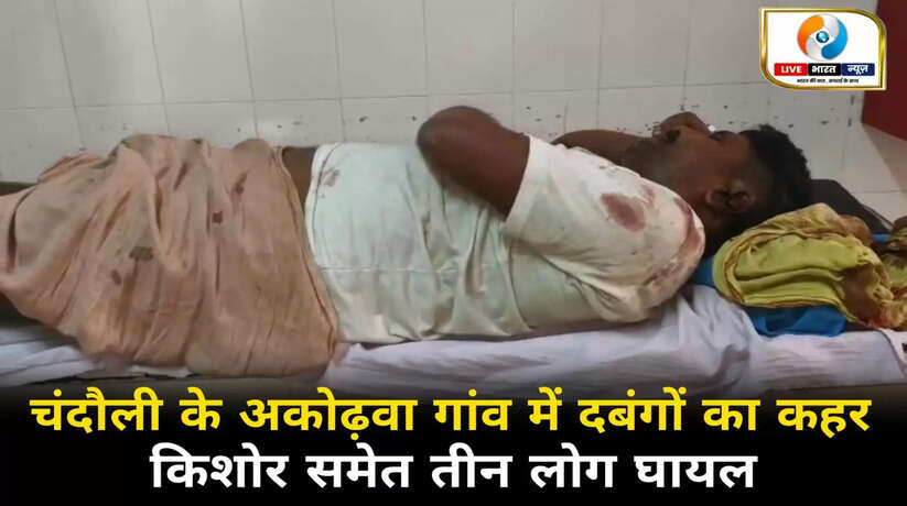चंदौली के अकोढ़वा गांव में दबंगों का कहर, किशोर समेत तीन लोग घायल