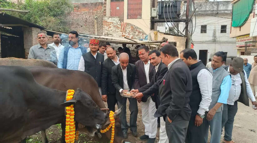 Varanasi News: शंकराचार्य महाराज के पदयात्रा के समर्थन में वकीलों ने की गौ पूजन व निकाली पदयात्रा